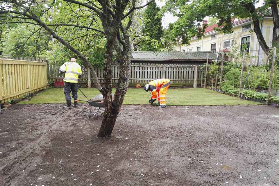 Satakunnan Viherpalvelu Oy:n työntekijät laittavat uutta nurmikkoa pihalle